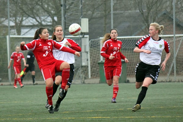 BSF INDHENTER THISTED EFTER SEJR OVER VARDE