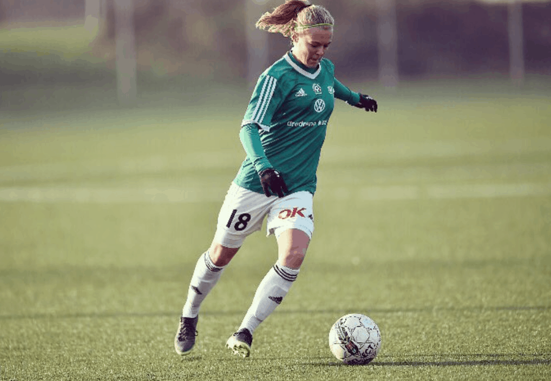 Skærmbillede 2017-06-13 kl. 13.03.38