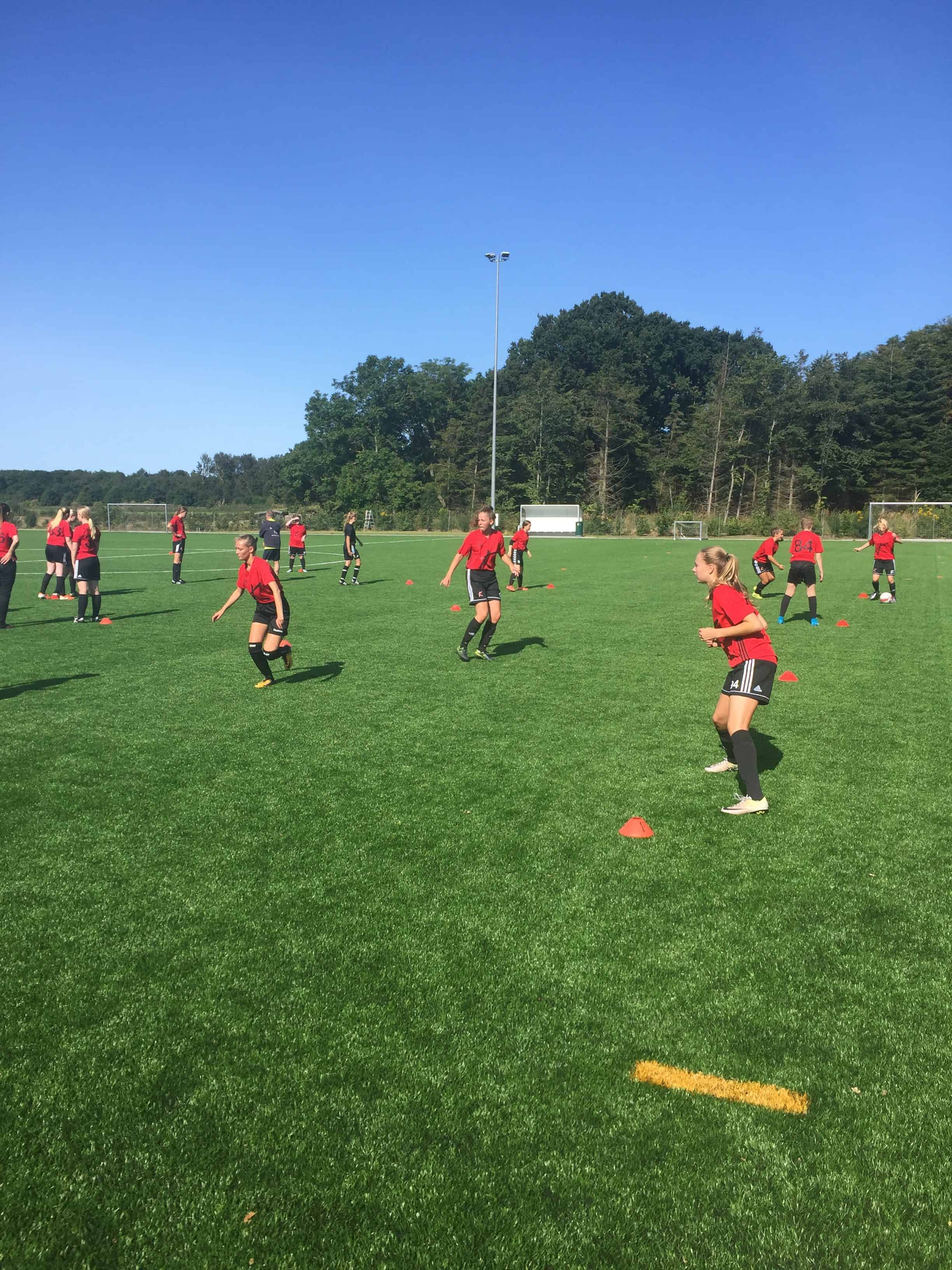 Klinten, Bolden og Grønsværen bruges igen