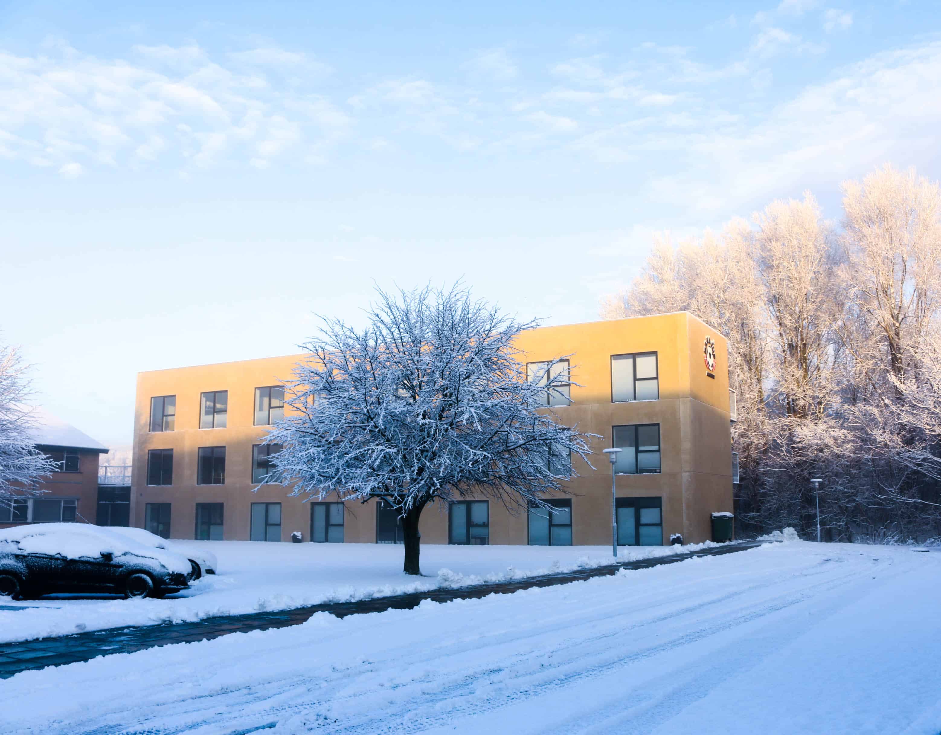 Julestatus på Dana Cup Academy
