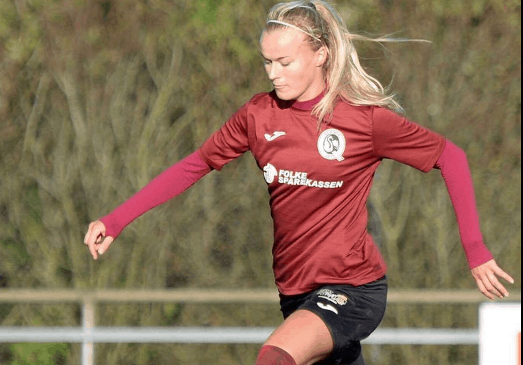 Skærmbillede-2017-11-12-kl.-17.02.54