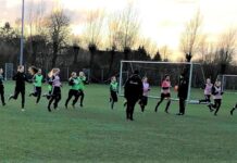 Dalum/Næsbys fodboldpiger gæster Hjemly