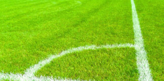 DBU Jylland: Flere pige- og kvindehold klar til efterårets turneringer