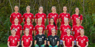 Danmark sejrede sikkert over Bosnien-Hercegovina