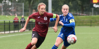 Status på 1. division: Disse hold skal spille om oprykning