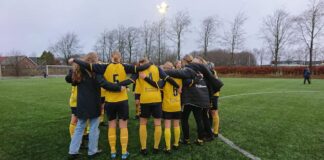 1. division slutspil: Herlufsholm og Vildbjerg fastholder førstepladserne