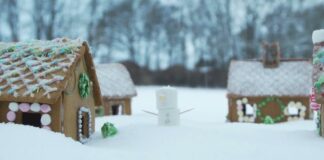 Julehilsen fra Dana Cup Academy: “Endnu et fantastisk år i Hjørring”