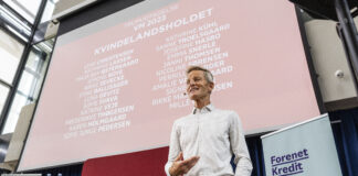 Her er holdet, der skal til VM