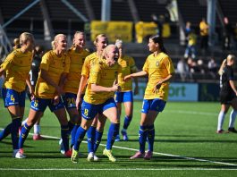 Brøndby bekræfter: Offensiv profil har revet korsbåndet over