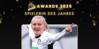 Dansker kåret til årets spiller i Sturm Graz