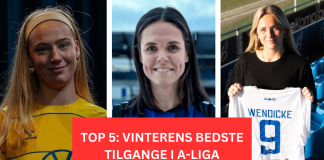 Top-5: Vinterens bedste tilgange i A-Ligaen